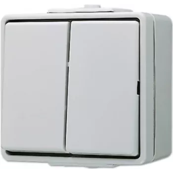 JUNG 605 W - interruptor de botón - 2P - cableado - gris - duroplast - 250 V