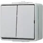 JUNG 605 W - interruptor de botón - 2P - cableado - gris - duroplast - 250 V