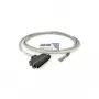 Cable Patton 10-493264-10 10 ft Telco 64-Pin a 32-Pin sin terminar