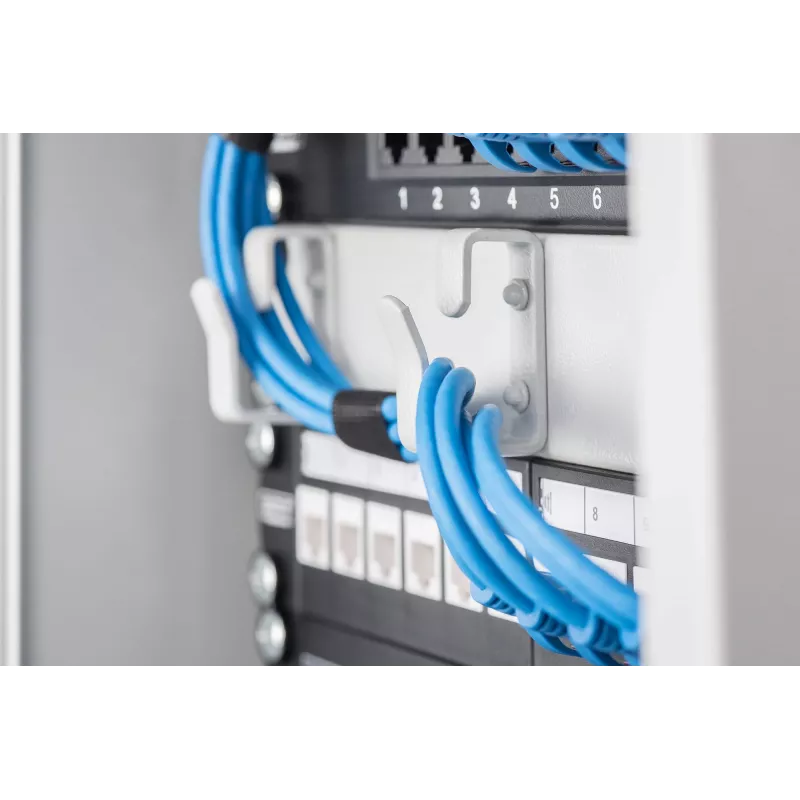Panel de gestión de cables Digitus DN-10 ORG-1U