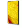 NEC MultiSync M651-2 diseño kiosco 165,1 cm (65