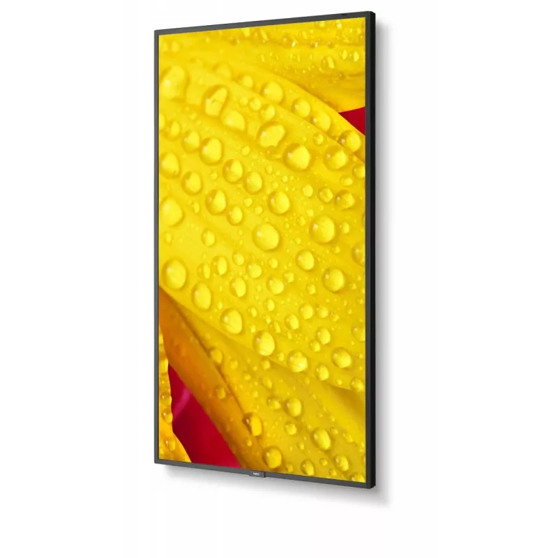 NEC MultiSync M651-2 diseño kiosco 165,1 cm (65