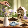 Set I'M A Genius - laboratorio de abejas