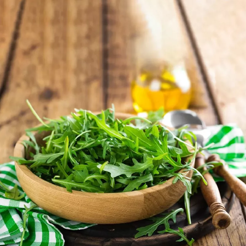 PNOS rúcula Eruca sativa semillas en cinta, 6 m