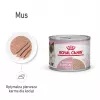 Royal Canin BABYCAT INSTINCTIVE - Comida húmeda para gatos - 195 g