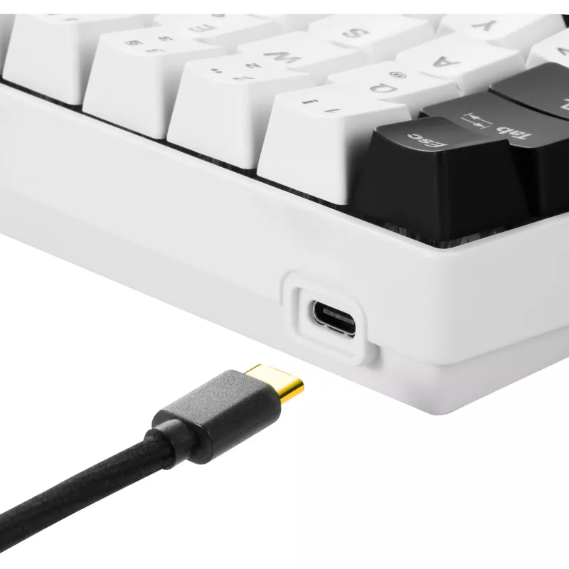 Sharkoon SKILLER SGK50 S4 - Teclado - retroiluminación