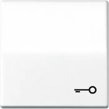 Módulo interruptor de pulsador de montaje en pared JUNG AS 591 T WW Blanco para control eléctrico
