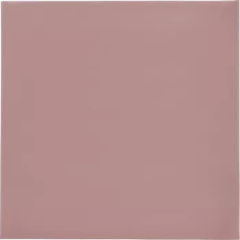 Thermal Grizzly Minus Pad 8 - 100 x 100 x 1,0 mm, 2 uds.