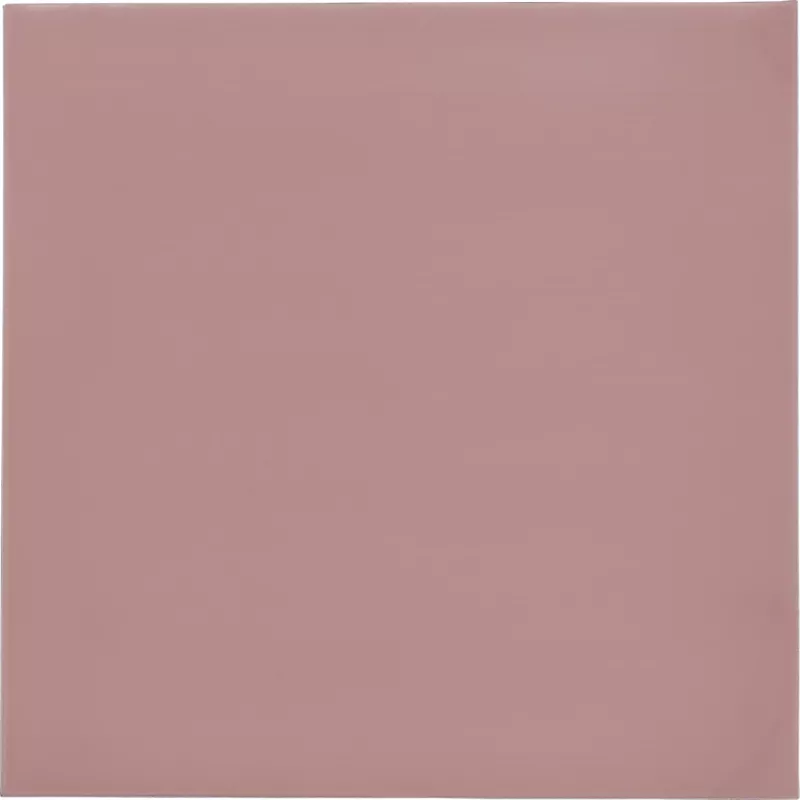 Thermal Grizzly Minus Pad 8 - 100 x 100 x 1,0 mm, 2 uds.