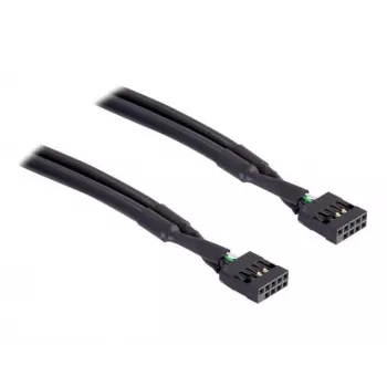 Cable USB interno DeLOCK 82437 0,5 m 10-Pin hembra