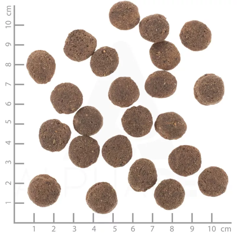 Pienso para perros Wolfsblut VetLine Hypoallergenic Horse — 12 kg, monoproteico, 20 % proteína, sin cereales ni gluten