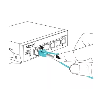 Cable de fibra óptica DeLOCK 1m 2xLC