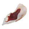 PETITTO Oreja de conejo rellena de pato snack para perros, 500 g