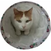 Túnel para gatos ZOLUX CHATOUILLE 100 cm con estampado de gatos y ratones — juguete para mascotas