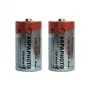 AgfaPhoto 110-802626 Pila alcalina de 1,5 V no recargable (110802626)