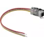 Conector de alimentación para tira LED EUROLITE 50530066, 3 polos, para tira LED de 10 mm