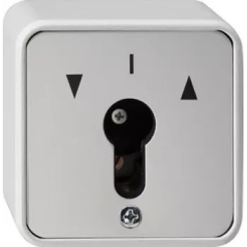 GIRA 014430 Interruptor de luz Gris (014430)