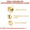 Comida seca para perros Royal Canin Cavalier King Charles Adult 1,5 kg — pollo, raza pequeña, piel y pelo, apoyo cardíaco