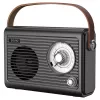 Radio portátil Savio RS-01 analógica negra