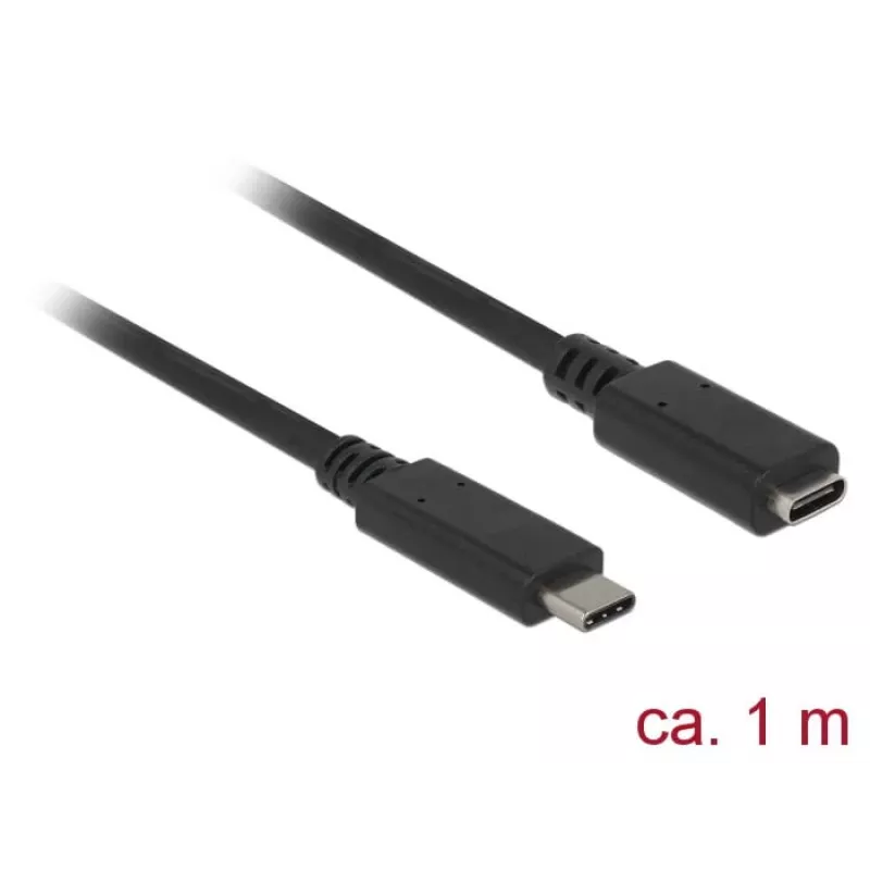 Cable USB DeLOCK 85533 USB 3.2 Gen 1 1 m USB C negro