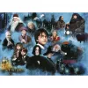 Puzle de 1000 piezas Ravensburger Harry Potters magische Welt – 1000 piezas, formato de puzle estándar