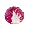 Semillas de hortalizas lechuga achicoria Palla Rossa 3 Toraf, paquete de 5g