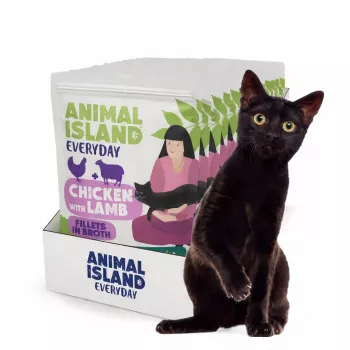 ANIMAL ISLAND pollo con filetes de cordero en caldo - alimento húmedo para gatos - 12x85g