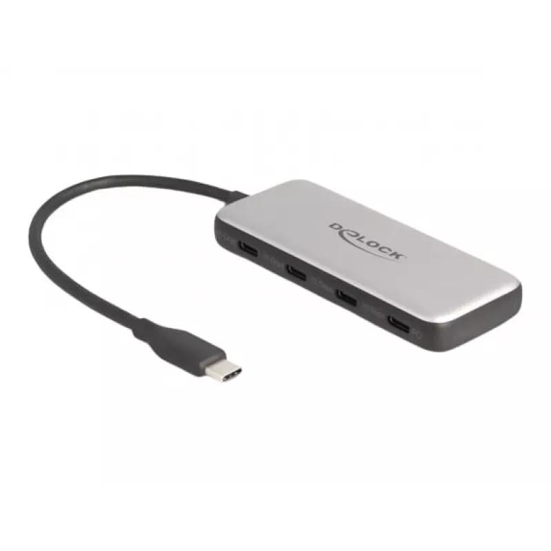 DeLOCK 64261 Hub USB 3.2 Gen 1 Type-C 10000 Mbit/s negro gris