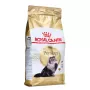Royal Canin Persian Adult pienso para gatos, 2 kg