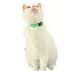 Collar para gatos ZOLUX CHATOUILLE con colgante en forma de pájaro, verde