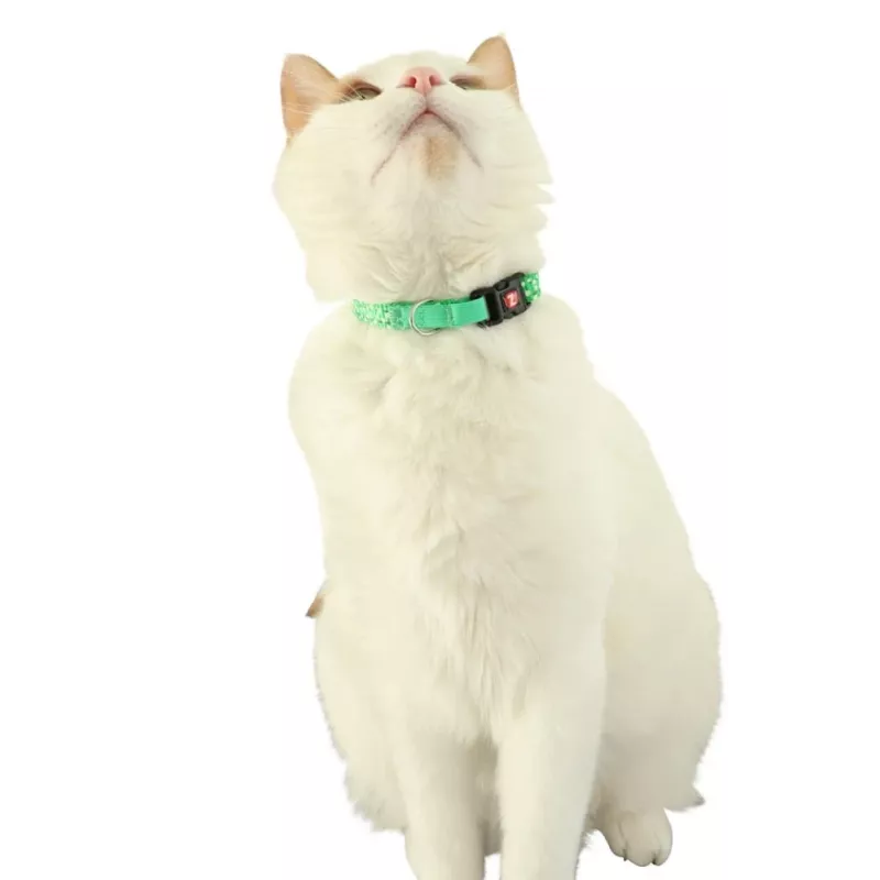 Collar para gatos ZOLUX CHATOUILLE con colgante en forma de pájaro, verde
