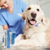 Gel para heridas JM Sante Polisept Vet 30 ml para perros y gatos, tubo 30 ml, 50 g