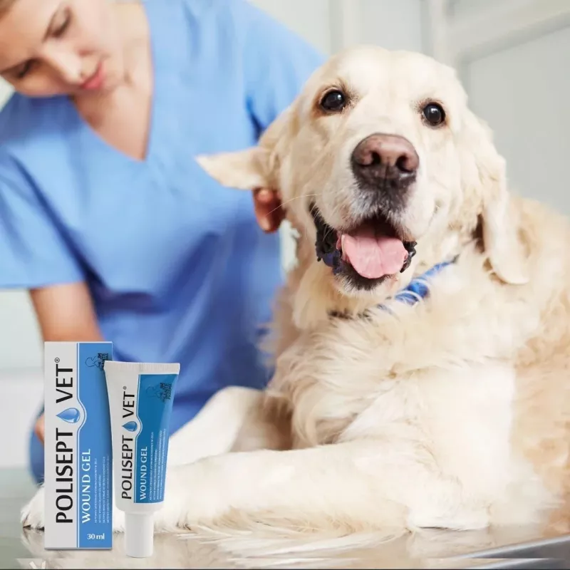 Gel para heridas JM Sante Polisept Vet 30 ml para perros y gatos, tubo 30 ml, 50 g