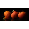 Semillas de hortalizas calabaza Uchiki Kuri Toraf, paquete de 5g