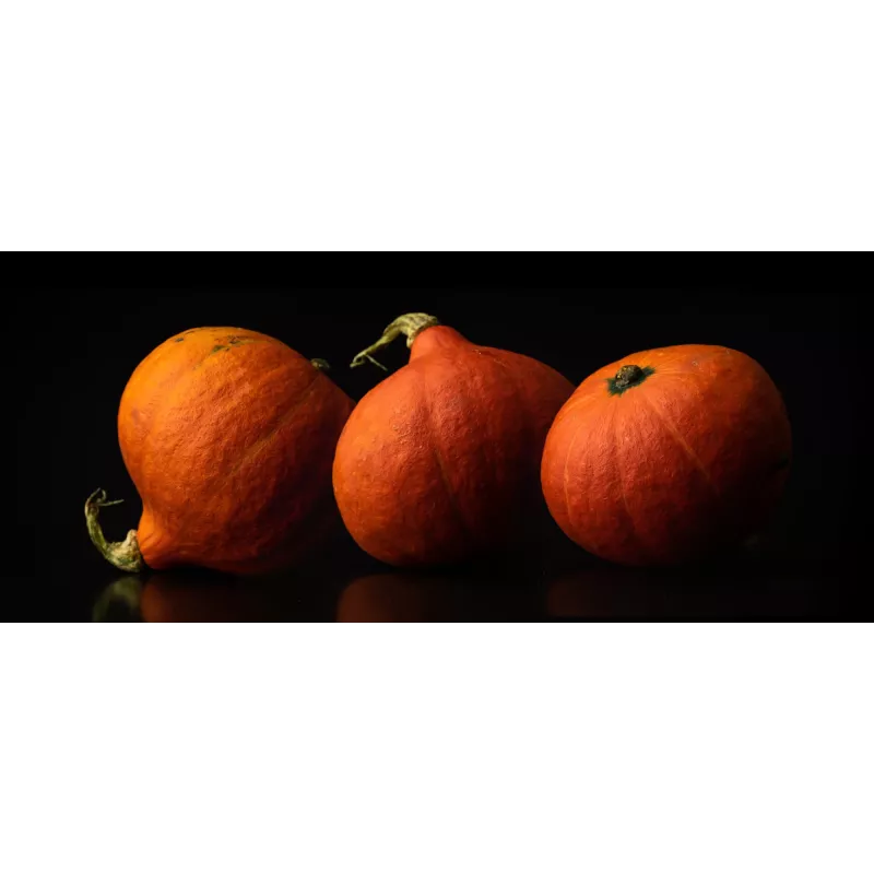Semillas de hortalizas calabaza Uchiki Kuri Toraf, paquete de 5g
