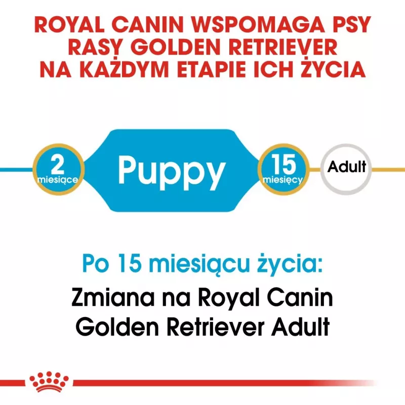 Royal Canin Golden Retriever Puppy pienso seco para perros, 12 kg