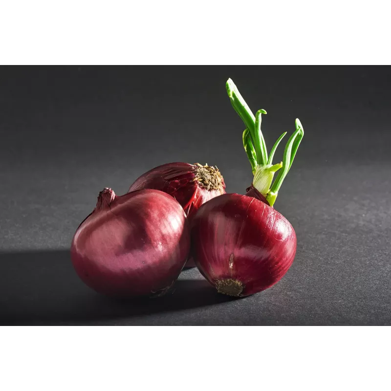 Semillas de hortalizas cebolla Karmen Toraf, paquete de 3g