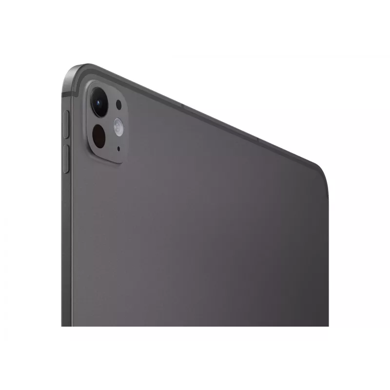 APPLE 33cm 13