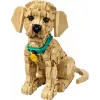 LEGO ICONS 11384 Cachorro de golden retriever