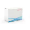 Rodillo de transferencia Xerox, WorkCentre 7525/7530/7535/7545/7556, 1 ud.