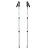 Bastones de trekking para adultos VIKING Kivi 2.0 Trekking Verde UNI