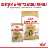 ROYAL CANIN Shih Tzu Adult Alimento húmedo para perros Paté 12x85 g