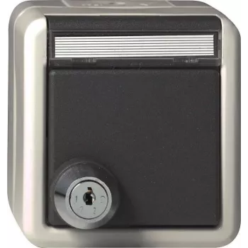 gira Toma de corriente Schuko con cerradura, Modelo 456730 (KD) – con llave, compatible con empotrar, gris