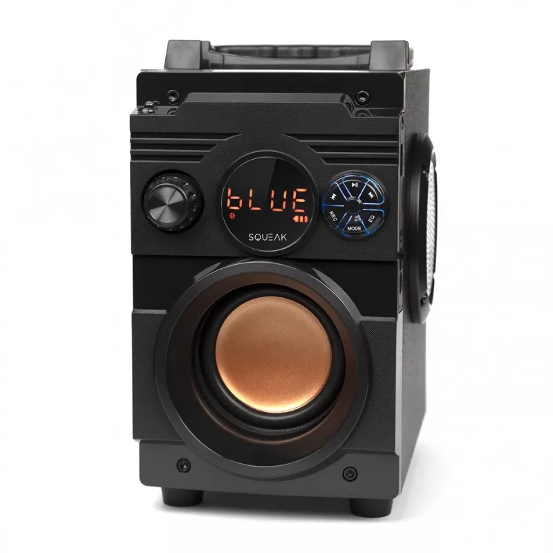 Squeak Bassblaster Altavoz Bluetooth 5.1, radio FM, reproductor MP3 SQ1001