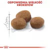 ROYAL CANIN Sterilised 7+ - Pienso para gatos - 10 kg