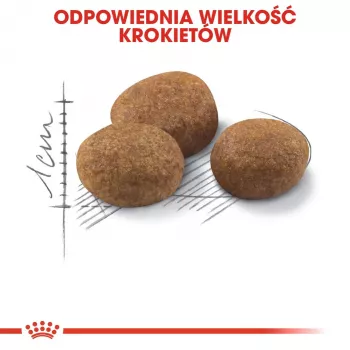 ROYAL CANIN Sterilised 7+ - Pienso para gatos - 10 kg