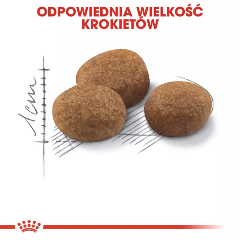 ROYAL CANIN Sterilised 7+ - Pienso para gatos - 10 kg