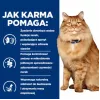 HILL'S PD K/D Kidney + Mobility pollo - pienso para gatos - 3 kg