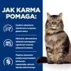 HILL'S PD Gastrointestinal Biome - pienso para gatos - 1,5 kg