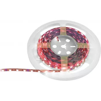 Tira LED EUROLITE 50530136, 5 m, 5050 SMD RGB, 12 V